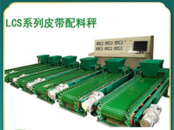 河南裙边橡胶带定量给料机
