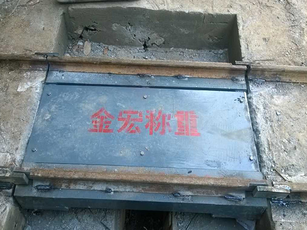 河南电子轻轨衡